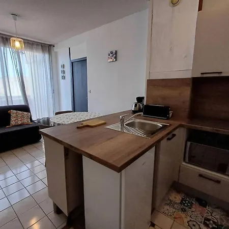 T2 Agreable Pres De L'etang De Thau Et Thermal, Balcon, Wi-fi, Lave-linge, Bien Equipe, - Fr-1-571-32 바라뤽레벵즈