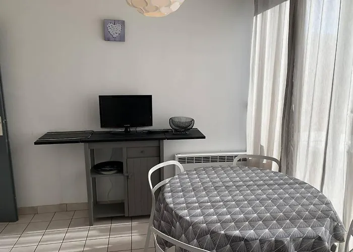 شقة T2 Agreable Pres De L'etang De Thau Et Thermal, Balcon, Wi-fi, Lave-linge, Bien Equipe, - Fr-1-571-32