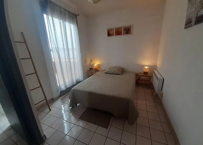 شقة T2 Agreable Pres De L'etang De Thau Et Thermal, Balcon, Wi-fi, Lave-linge, Bien Equipe, - Fr-1-571-32