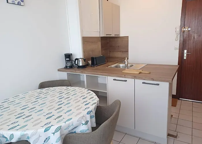 T2 Agreable Pres De L'etang De Thau Et Thermal, Balcon, Wi-fi, Lave-linge, Bien Equipe, - Fr-1-571-32 *