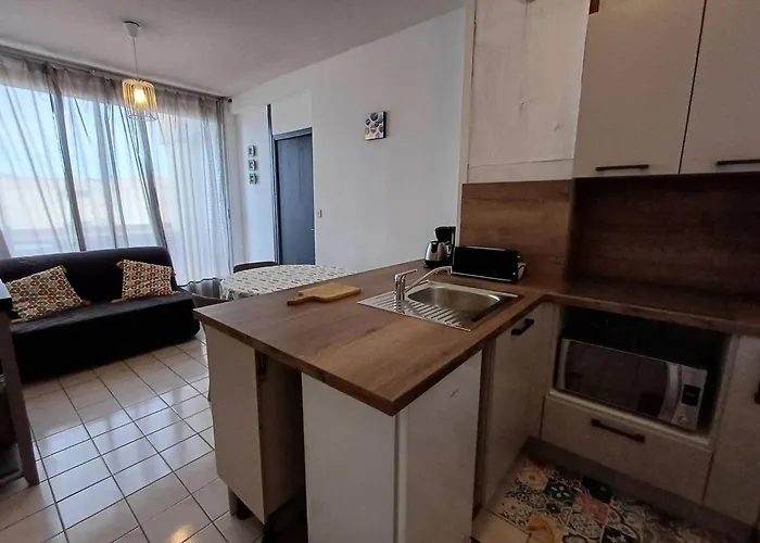 T2 Agreable Pres De L'etang De Thau Et Thermal, Balcon, Wi-fi, Lave-linge, Bien Equipe, - Fr-1-571-32 بالاروك ليه بان
